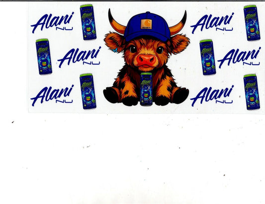 Highland Cow- Alani