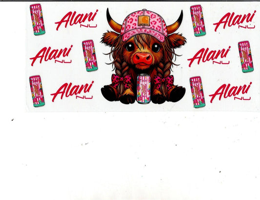 Highland Cow- Alani