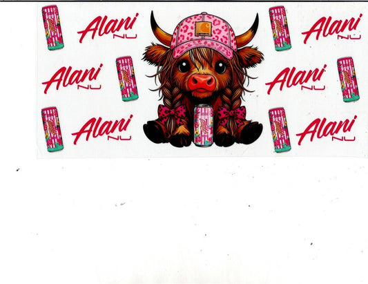 Highland Cow- Alani