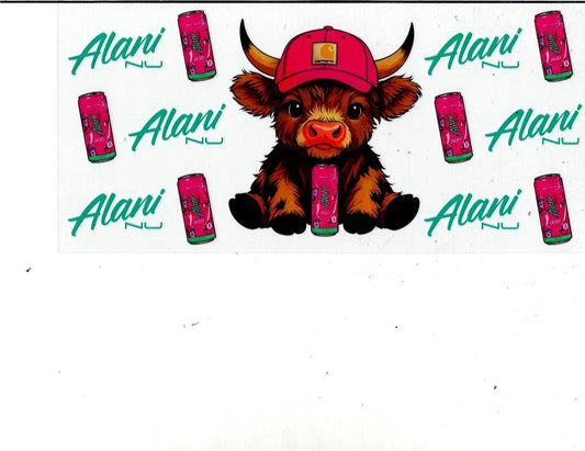 Highland Cow- Alani