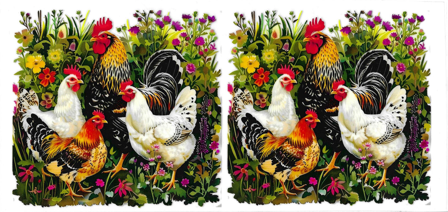 Animals